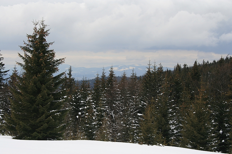 Turbacz 22.03.08 037